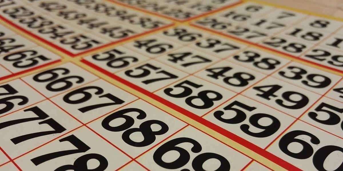 Cartelle bingo